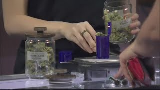 Ohio recreational marijuana sales top 11 million in less than a week [upl. by Vi]