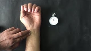 How to Check Pulse Rate  How to Check Heart Rate  पल्स कैसे चेक करते हैं  Pulse Rate Check [upl. by Kappel426]