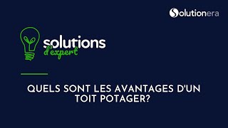 Quels sont les avantages dun toit potager Solutions dexpert [upl. by Niar]