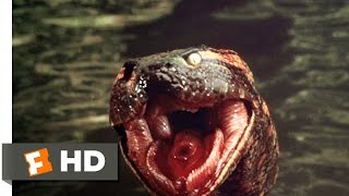 Anaconda 78 Movie CLIP  Anaconda at the Waterfall 1997 HD [upl. by Neerahs963]