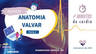 Anatomia Valvar  Parte II 7 min de cardio  Novembro das Valvopatias [upl. by Rahm432]