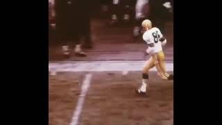 19681215 greenbaypackers  chicagobears Boyd Dowler 72yard TD pass from Zeke Bratkowski nfl [upl. by Papotto92]