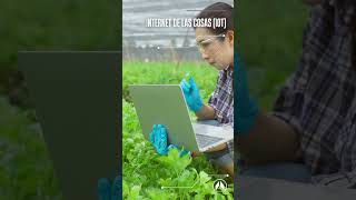 ¿Qué tecnologías y herramientas se utilizan en la agricultura 40 [upl. by Yunfei]