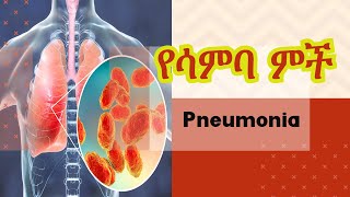 የሳምባ ምች  Pneumonia [upl. by Higginson]