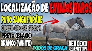 RED DEAD REDEMPTION 2 CAVALOS RAROS DE GRAÇA TODOS PURO SANGUE ARABES LOCALIZAÇÃO DE RESPAW [upl. by Aicirtac]