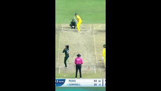 Arafat Minhas disturbs the woodwork again 🔥 U19WorldCup Cricket [upl. by Krys946]