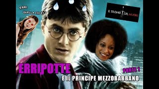 RIASSUNTO ACCURATISSIMO HARRY POTTER quotERRIPOTTE E IL PRINCIPE MEZZOBABBANOquot PT1 [upl. by Roshan]