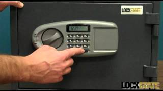 LockState LS35D Large Digital Fireproof Safe [upl. by Ellehcil]