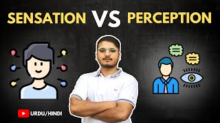 What is Sensation and Perception Urdu  Hindi [upl. by Barnebas]