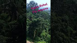 Jagna Bohol view nature travel [upl. by Yvehc738]