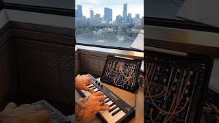 Aguest Rain moog 15 plugin in garage band music moog synthesizer synth chill toronto moog [upl. by Viking]