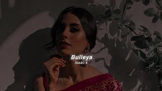 Bulleya  Amit Mishra slowedreverb [upl. by Yves]