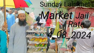 Sunday Lalukhet Market Farhan Birds Youtube Channel [upl. by Ailana]