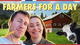 A day on a Norwegian farm  Visit Norway [upl. by Lewin584]