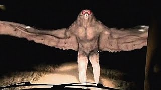 20 Mysterious Creatures Caught On Camera [upl. by Naimaj]