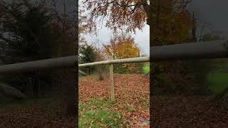 Meggen Luzern Schweiz 🇨🇭🍂nature motivation coffee music shorts short [upl. by Milla]