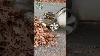 Vacuuming up leaves on the driveway [upl. by Libre]