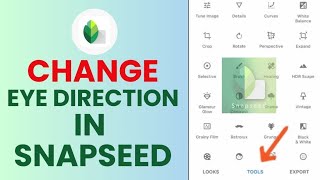 How to Change Eye Direction in Snapseed 2024 [upl. by Postman30]