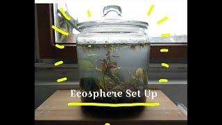 Big Ecosphere Set Up from local lake [upl. by Adnolay]