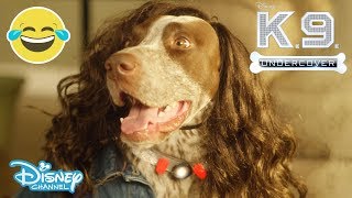 KC Undercover  Theme Song Music Video  K9 Undercover 🐶 Disney Channel UK [upl. by Ledba]