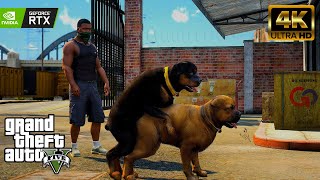 GTA 5 Mission 5 Chop Chop Goes Wild in Mission You Wont Believe What Happens gta 4k gameplay [upl. by Monreal934]