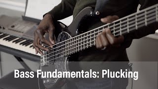 Bass Fundamentals Plucking Technique [upl. by Annauqahs]