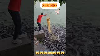 Fish farmingautomobile subscribe trending youtube farming shorts share viralshorts [upl. by Yzzik667]