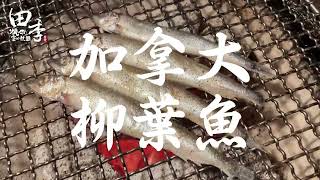 田季發爺鯛魚下巴、 加拿大柳葉魚、 鮮烤薄鹽鯖魚、 田季招牌秋刀魚～各種鮮味無限量供應！免千元就可以吃得好飽好營養 [upl. by Shaefer]