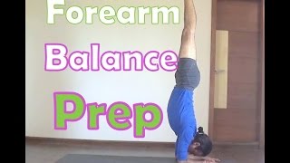 Forearm Balance Preparations  Pincha Mayurasana  Yoga Arm Balance ChallengeWeek 2 [upl. by Ardeha918]