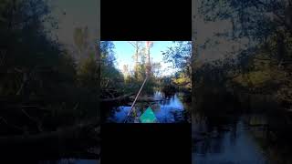 Good blowup on topwater  pulled the line from a branch 💥bass largemouthbass fishing gopro vlog [upl. by Naols]