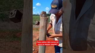 Aprenda como colocar catraca na cerca de arame liso agro dicas fazenda cerca [upl. by Enelyam]