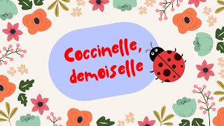 Coccinelle demoiselle [upl. by Llehcnom]