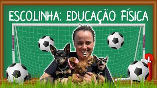 ESCOLINHA DOS PEQUENOS PRÍNCIPES  AULA DE EDUCAÇÃO FÍSICA  FUTEBOL [upl. by Urbannai594]