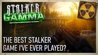 My New Obsession  STALKER Gamma  Part 1 [upl. by Khalil]