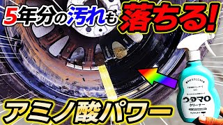 【1本でこの効果】想像以上のアミノ酸パワーが凄い！侮るなウタマロクリーナー！car wash｜洗車｜ホイール徹底洗浄！ [upl. by Paget]