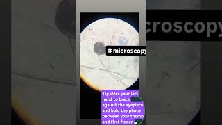 Microscopy  lab Lablife  Struggle is real 🤣 [upl. by Aisatana]