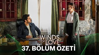 Rüzgarlı Tepe 37 Bölüm Özeti  Winds of Love Episode 37 Recap Eng Sub [upl. by Eissen]