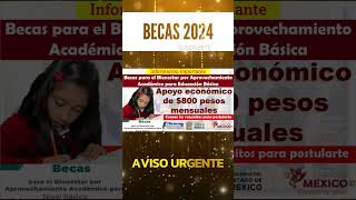 📌💰Becas para el Bienestar por Aprovechamiento Académico para Educación Básica [upl. by Aryan147]