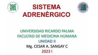 Sistema adrenérgico  Farmacología  Unidad II  sem 3 [upl. by Gardas]