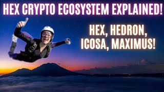 Hex Crypto Ecosystem Explained Hex Hedron Icosa Maximus [upl. by Sherilyn251]