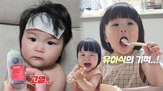 돌잔치 후 바로 돌치레 낙상사고까지😭 본격 유아식 시작 분유에서 우유로🥛 12개월 돌아기 육아 vlog [upl. by Ayak]