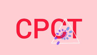 CPCT Corresponding parts of congruent triangle [upl. by Patman53]