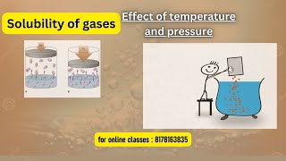 solubility of Gases  henrys law hydogneet [upl. by Attayek]