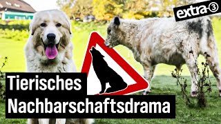 Realer Irrsinn Hausarrest für Herdenschutzhunde in Windeck  extra 3 Spezial Der reale Irrsinn  N [upl. by Ahsekel]