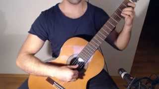 A Winters Tale  The Elder Scrolls V Skyrim on Guitar [upl. by Hagile463]