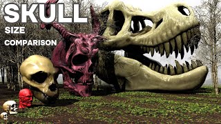 Skull Size Comparison Monster skull size Comparison ☠️ [upl. by Parette]