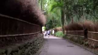 京都 嵯峨野 竹林の道 Sagano Bamboo Forest [upl. by Imled]