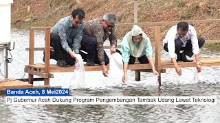 Pj Gubernur Aceh Dukung Program Pengembangan Tambak Udang Lewat Teknologi eFishery [upl. by Areis]