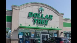 i miss my dollar tree and want my old life back can we reach 3k [upl. by Arrais904]