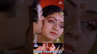 Neela Vana Odayil Video Song  Vaazhvey Maayam Movie Songs  Kamal Haasan  Sridevi  ytshorts [upl. by Pardner]